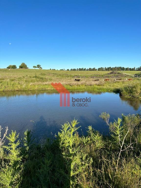 Venta Chacra 3,5h Migues con casa de 1 dormitorio