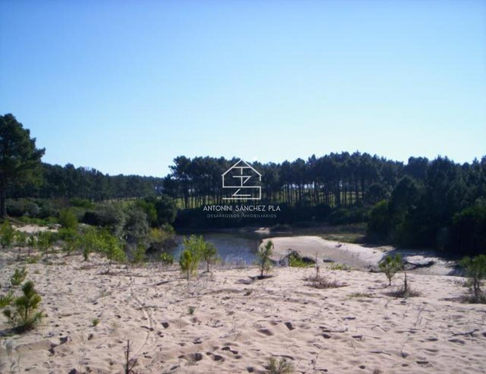 Terreno en Punta Ballena, Chihuahua