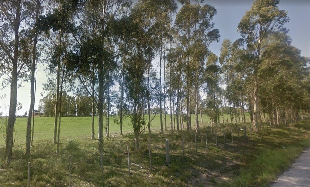 Campo excelente ubicacción, ideal plantar o
