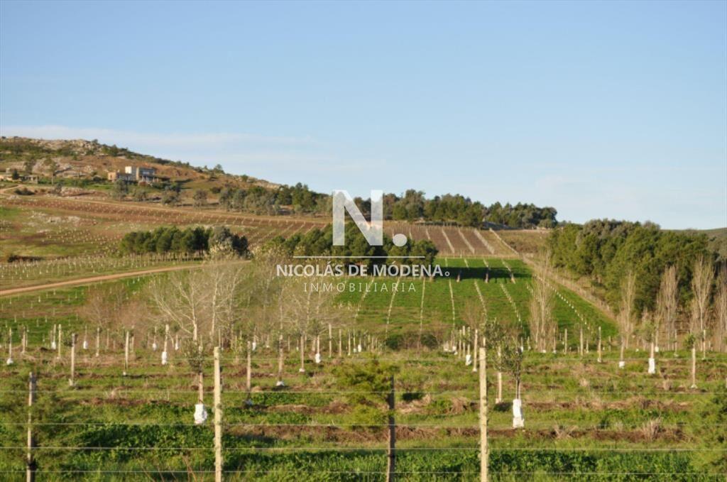 Vende campo en Laguna del Sauce, Maldonado.