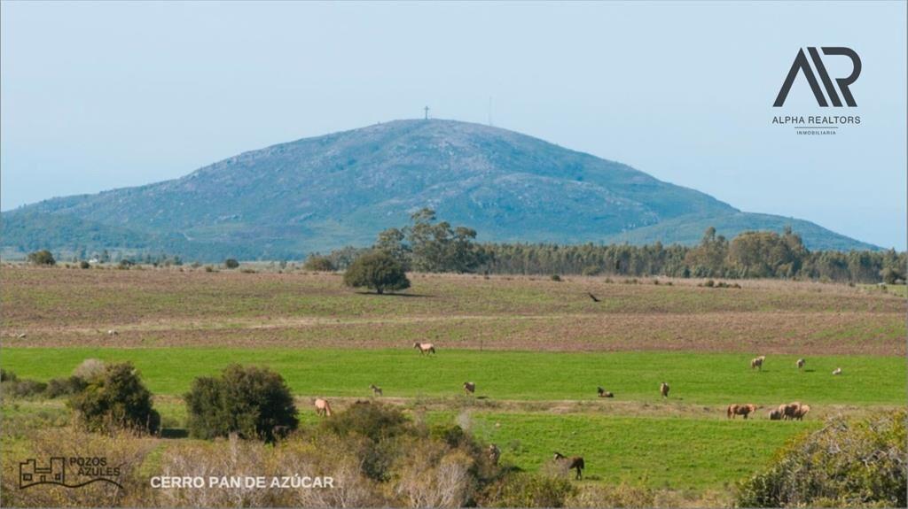 Chacra en venta de 1500m2 ubicado en Pan de Azúcar