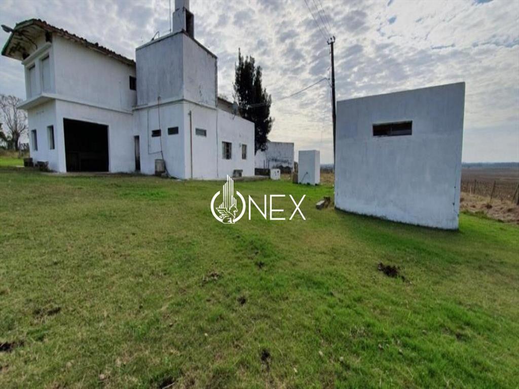 SE VENDE CAMPO AGRICOLA GANADERO EN SAN RAMÓN