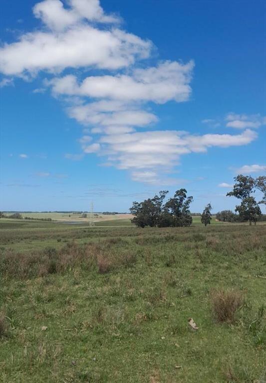 Campo en José Ignacio