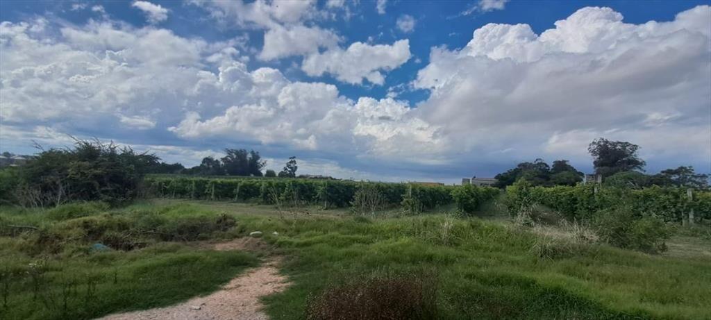 Venta terreno logístico industria Bajo la Petisa