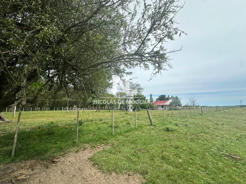 Chacra en Venta de 53 hectareas en Pan de Azucar