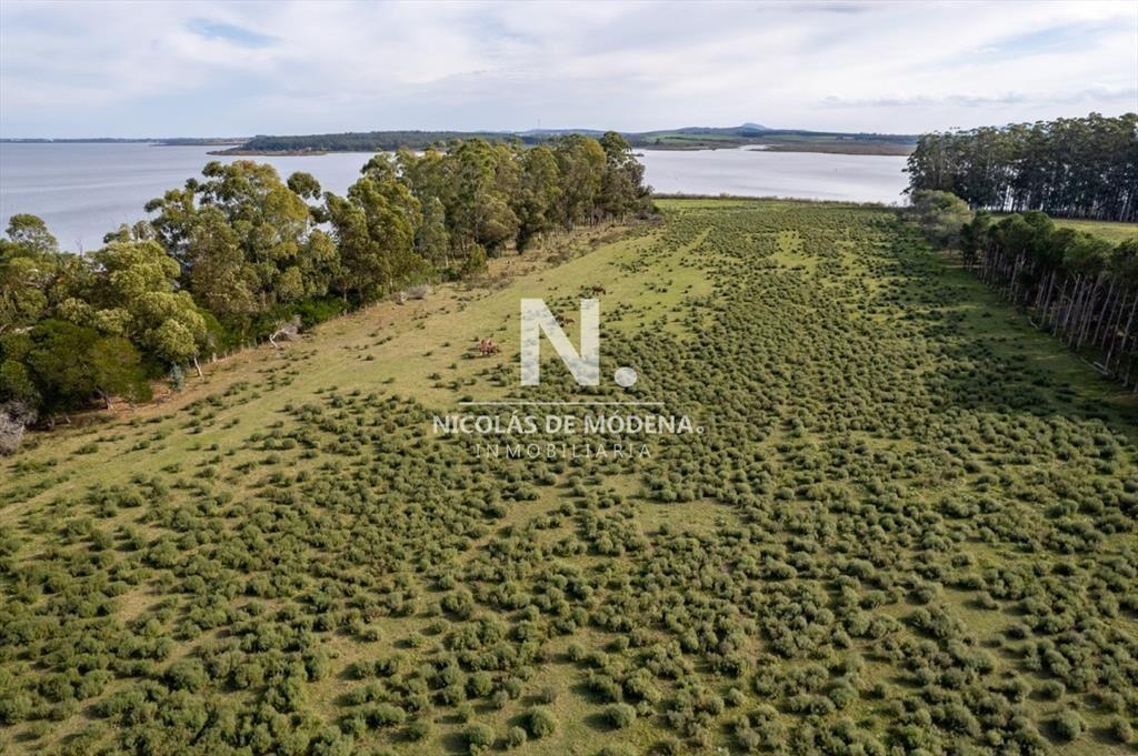 Chacra en venta Laguna Del Sauce