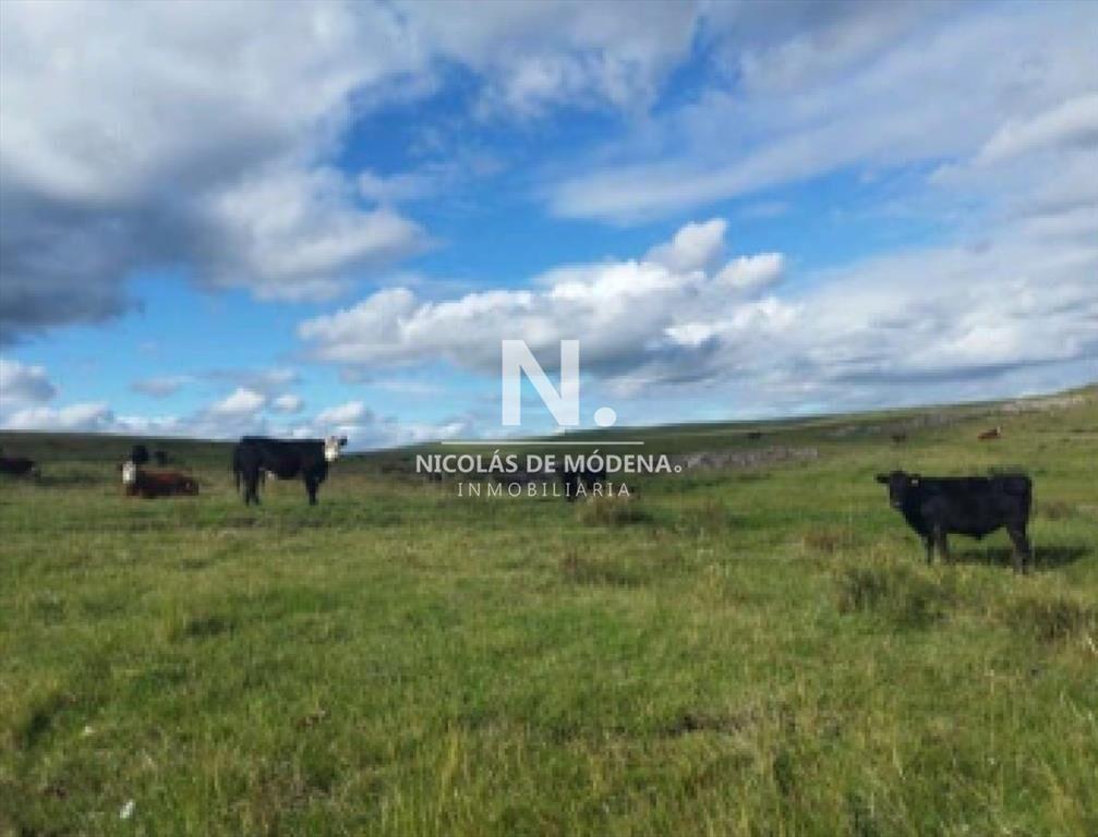 Vende campo en Salto, Costas de Arerungua.