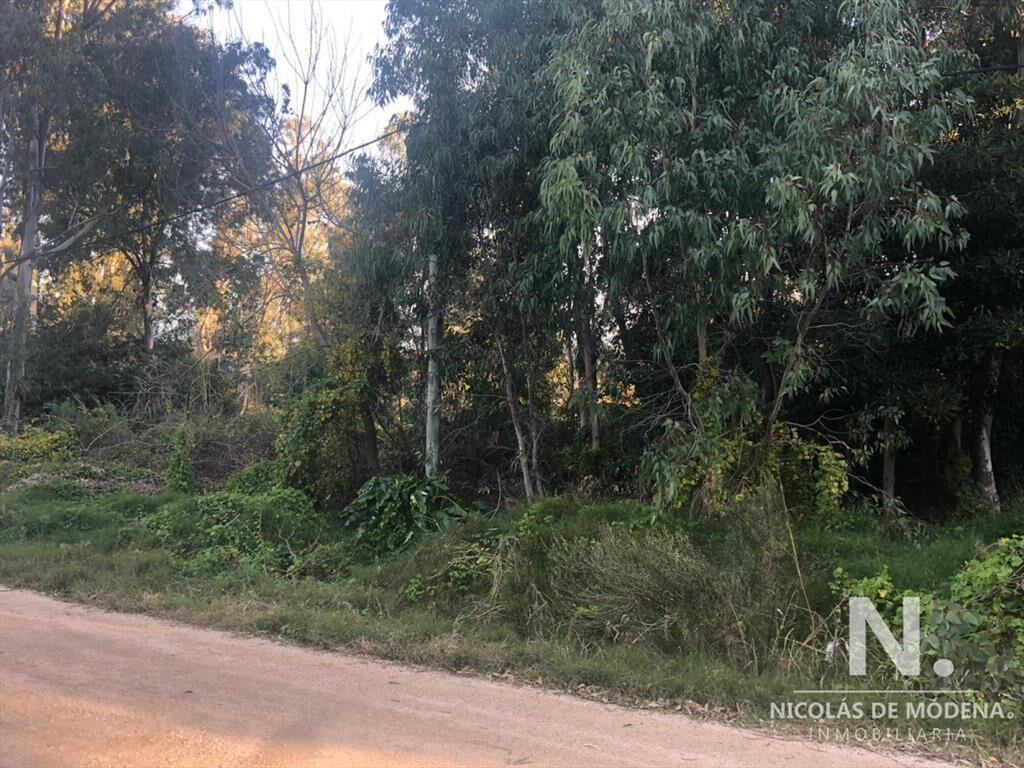 Oportunidad terreno La Barra