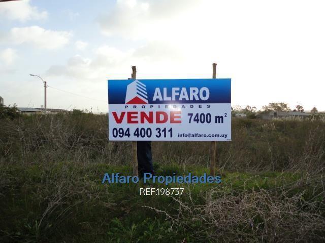 ALTURA ACTUALIZADO JUNIO 2026. GALPON IDEAL EDIFICIO DE ALT