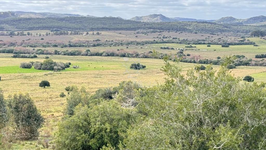 Chacra 5 has en Campanero con buena vistas y