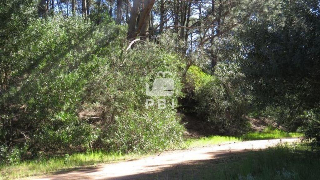 Terreno en venta Club Del Lago - Ref : PBI1151