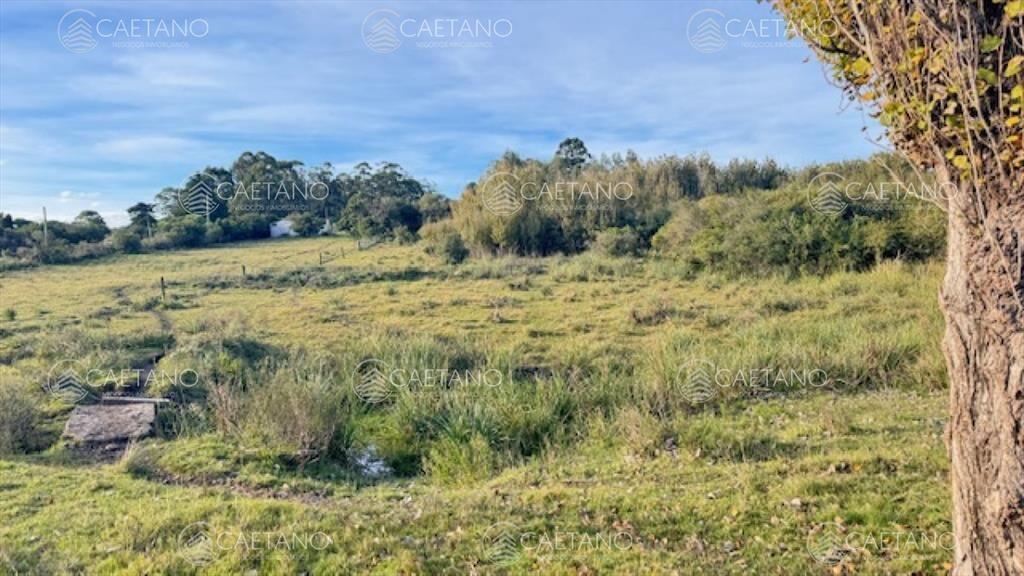 Campo de 4 has 1602 m2 muy cerca de ruta 12 y la