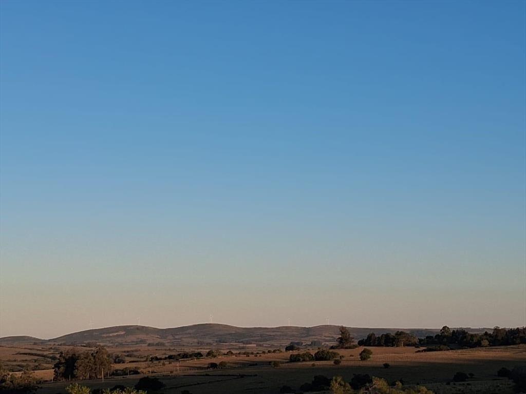 Campo en San Carlos