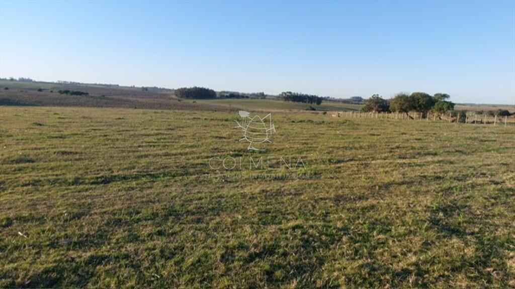 Campo 5 has cerca de la  R 104 y entre camino