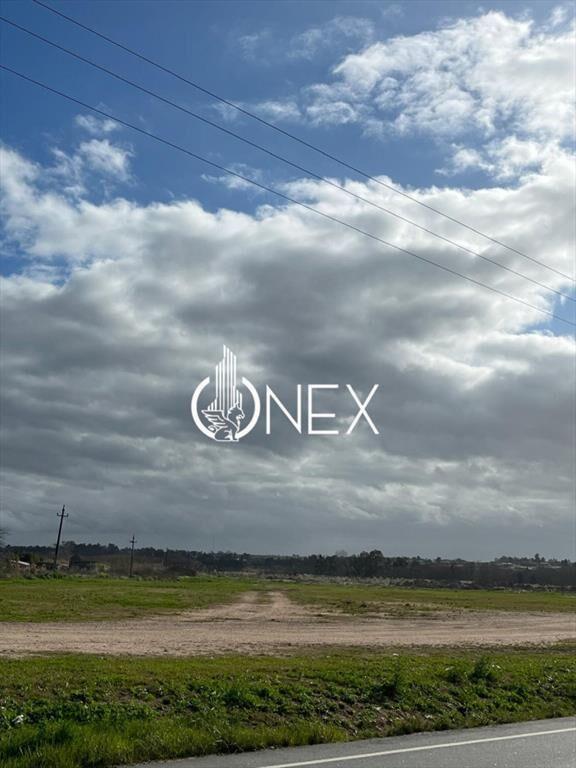 SE VENDE TERRENO DE 16 HÁS ZONA BARRIOS PRIVADOS