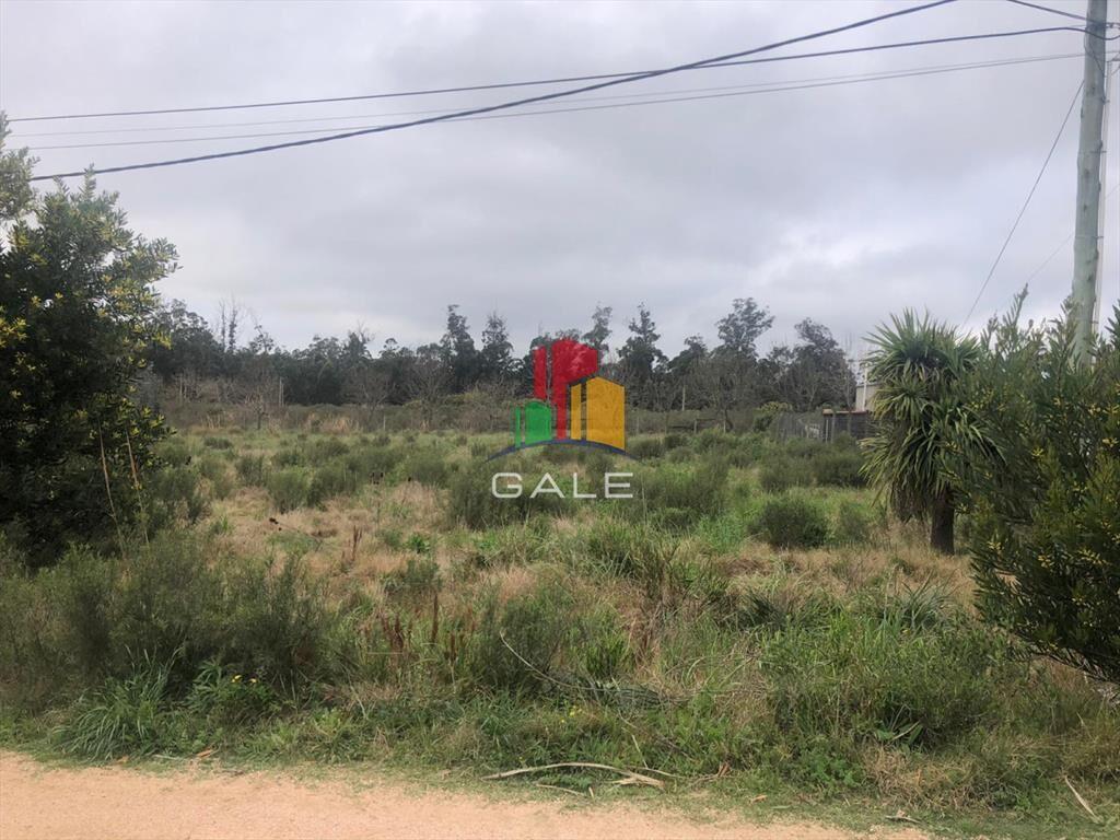 Terrenos altos en La Barra