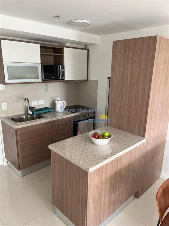Apartamento de 1 dormitorio en alquiler temporal
