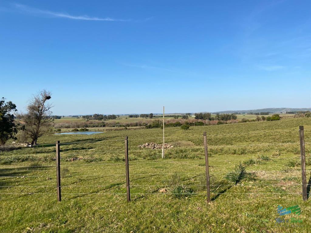 Buen campo mixto a 1 hora de Punta, buen acceso e