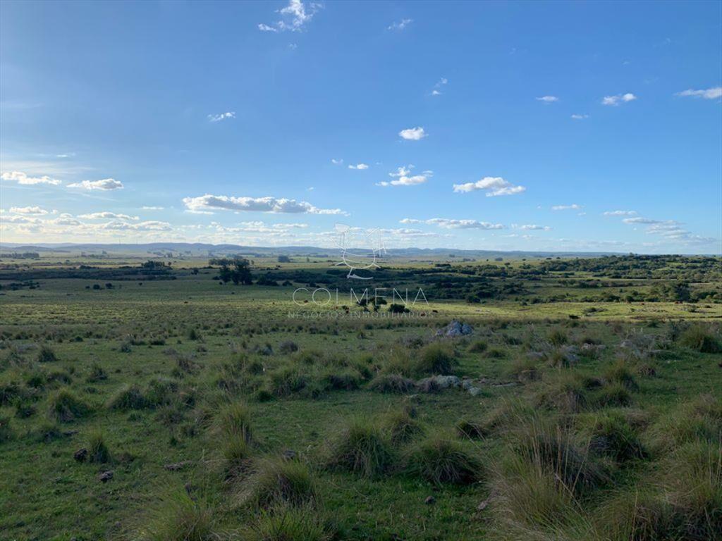 Campo cerca ruta 39 en las Cañas