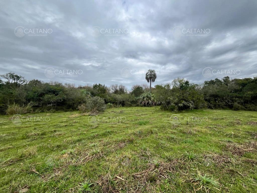 Venta de chacras de 3 has en camino de Los