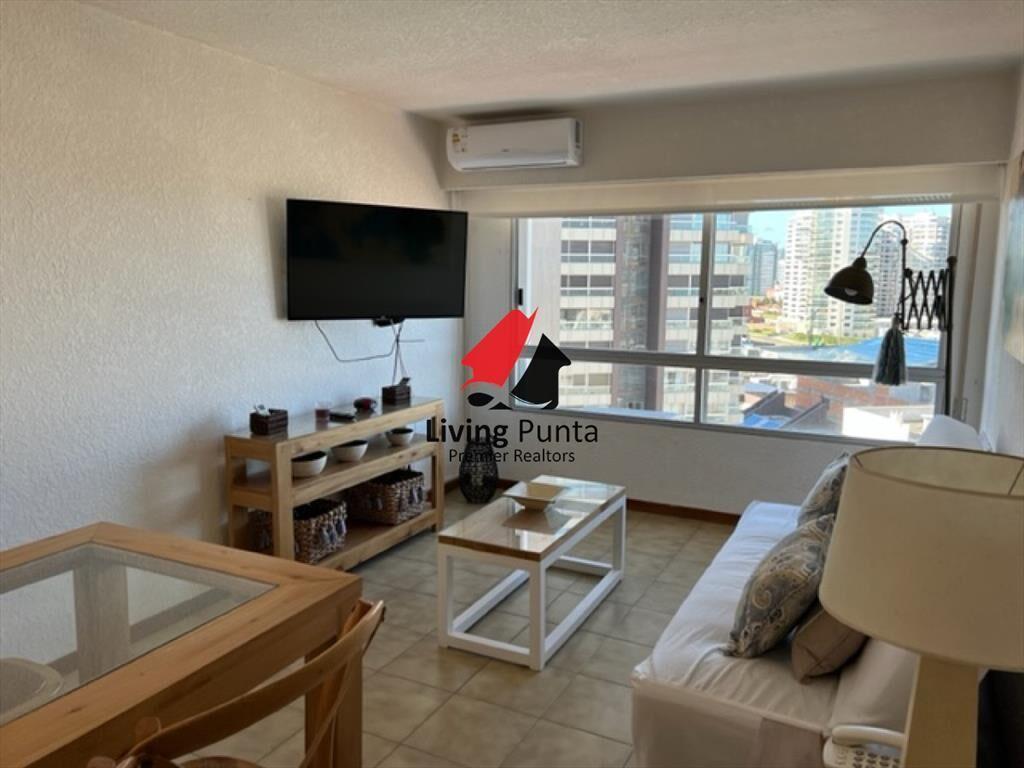Hermoso apartamento 1 dormitorio con VISTA!