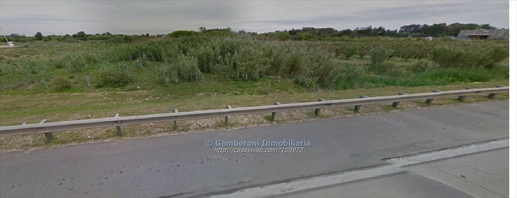 Tres Terrenos de 3 Hect. sobre Perimetal 102