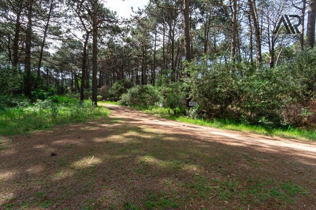 Terreno en venta de 1000m2 ubicado en Solanas