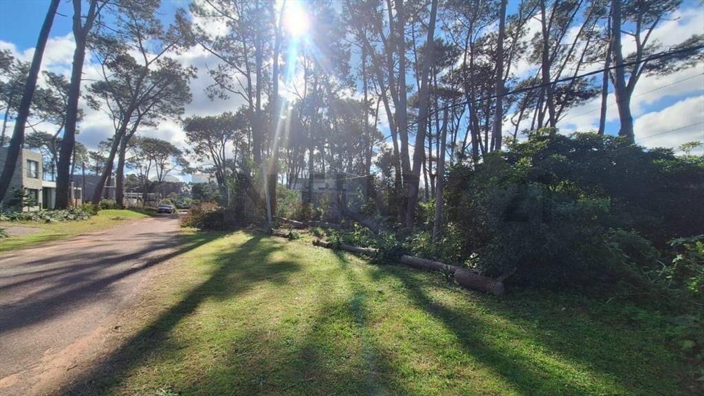 Venta Terreno Punta Ballena a 200Mts del Mar zona en exp...