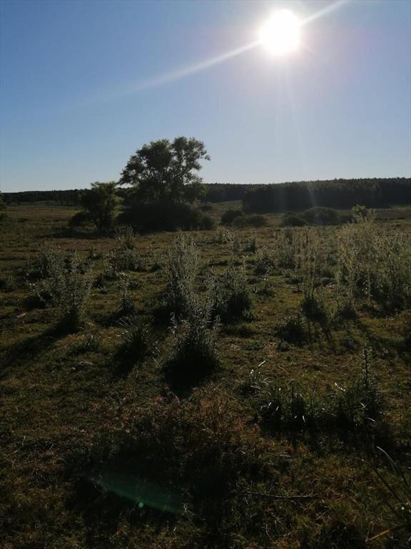 CAMPO EN VENTA- 948 HECTAREAS 6430m2