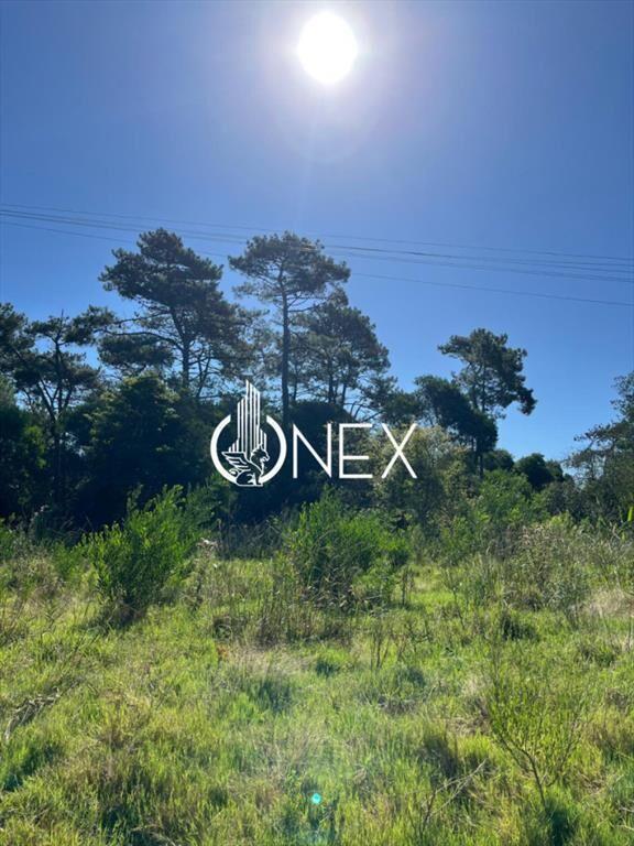 SE VENDE TERRENO EN OCEAN PARK
