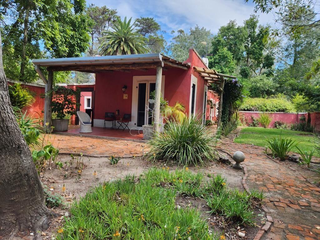 Venta chacra tipo quinta, Punta Ballena