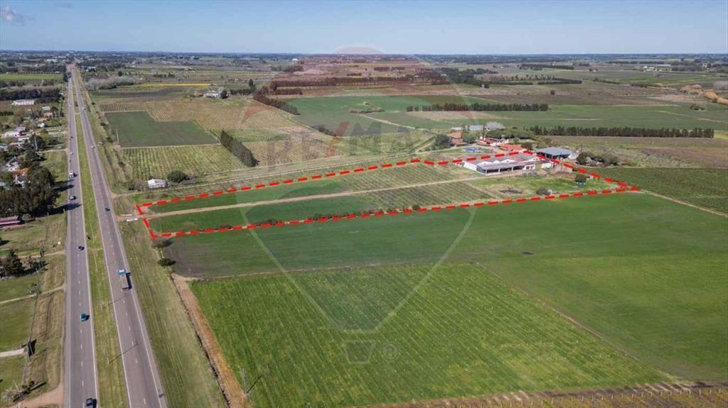 VENTA NAVE LOGÍSTICA SOBRE RUTA 5 CANELONES
