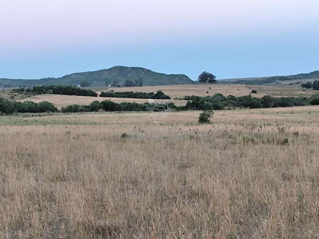 Campo de 30 has en Paso de Dutra