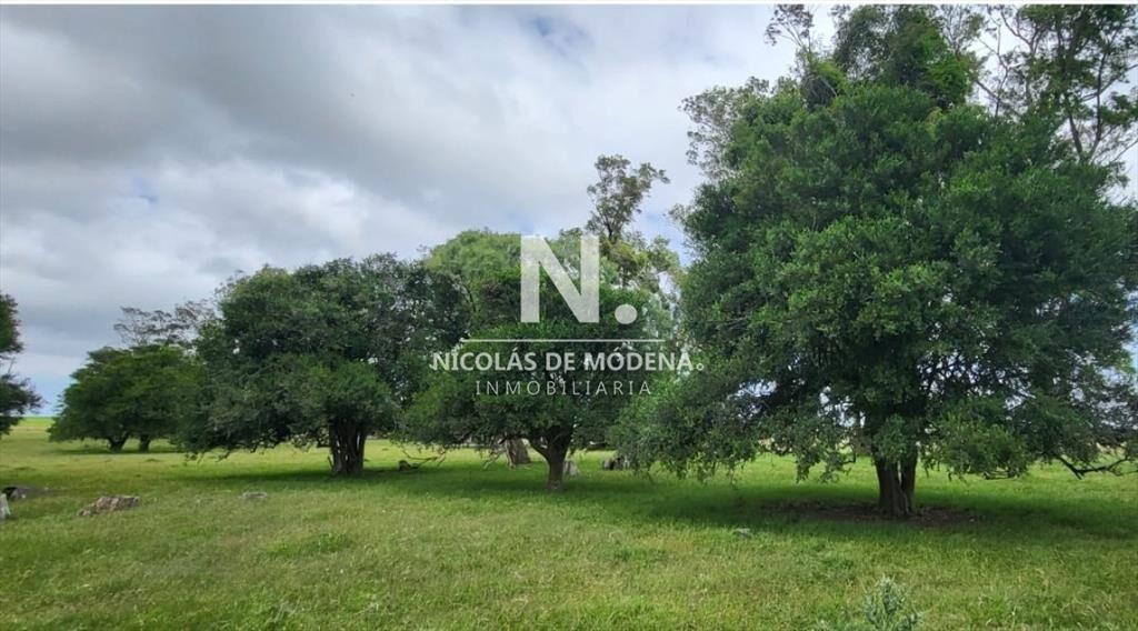 En venta campo en Treinta y Tres, ubicado a 12 de