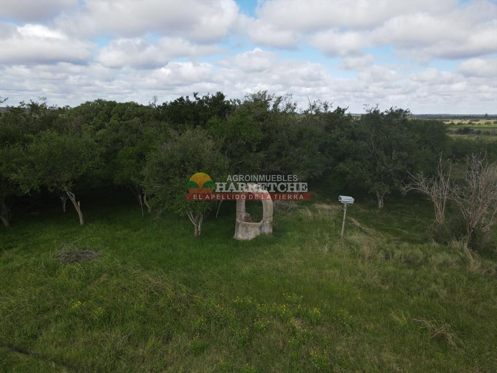Chacra de 5 has en Los Cerrillos, cañada, muy