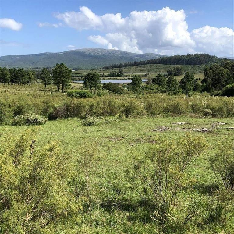 Chacra de 7 hás KM 94 de Ruta IB