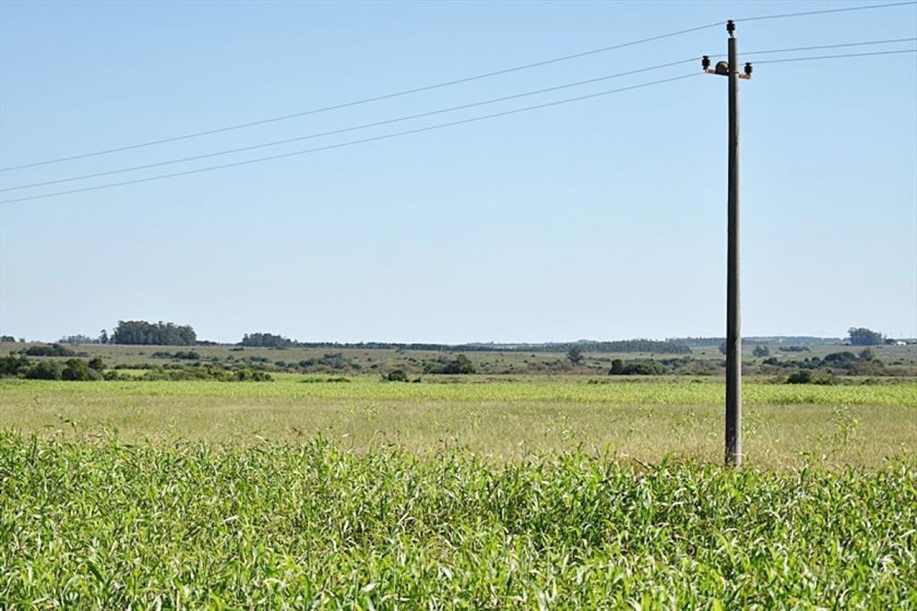 36 ha. sobre ruta 9