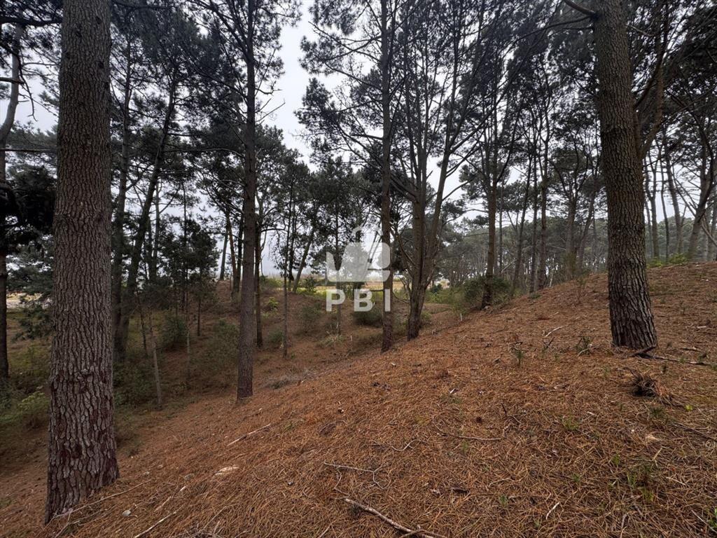 Venta de Terreno en Club del Lago - Ref :
