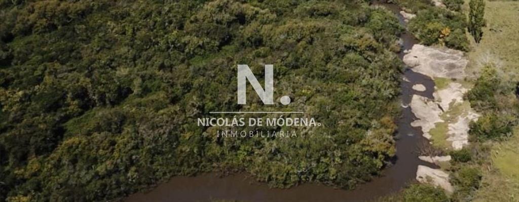 Campo a pocos metros de Ruta Nacional número 9