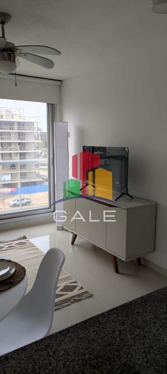Apartamento en alquiler 1 dormitorio, en Roosevelt - Punta