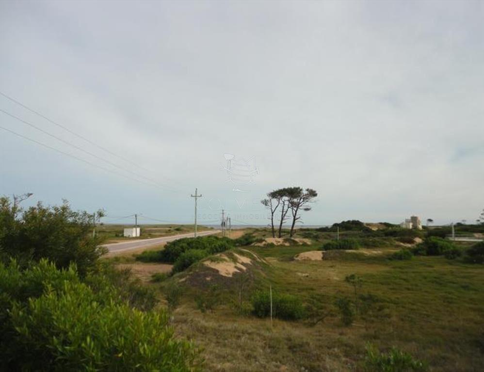 Terreno en Punta Ballena, Chihuahua
