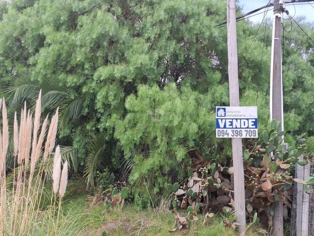 Oportunidad para inversores: Venta de terreno en Solymar