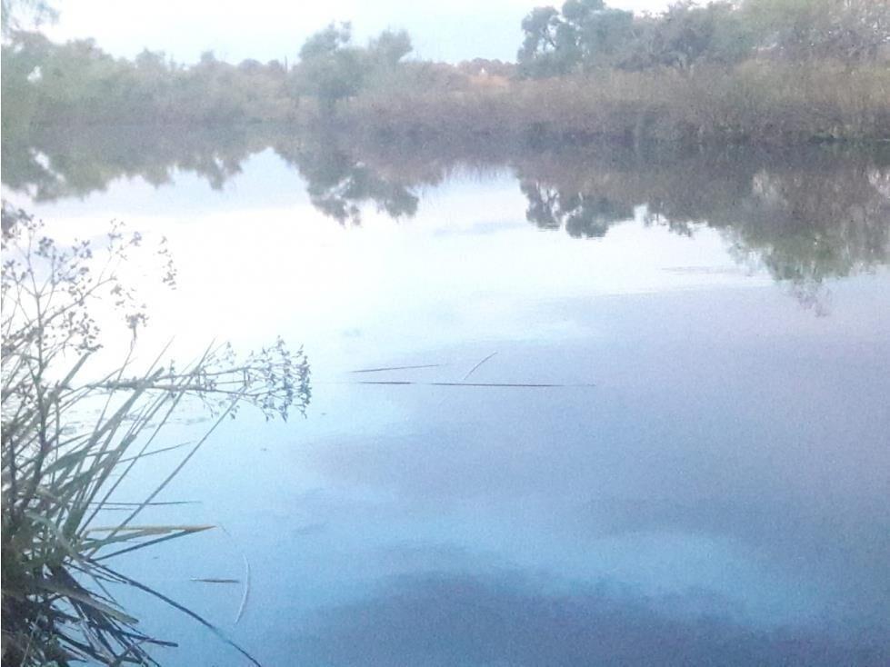 AL1086/P venta campo 53 hectareas en Estacion Solis Minas La