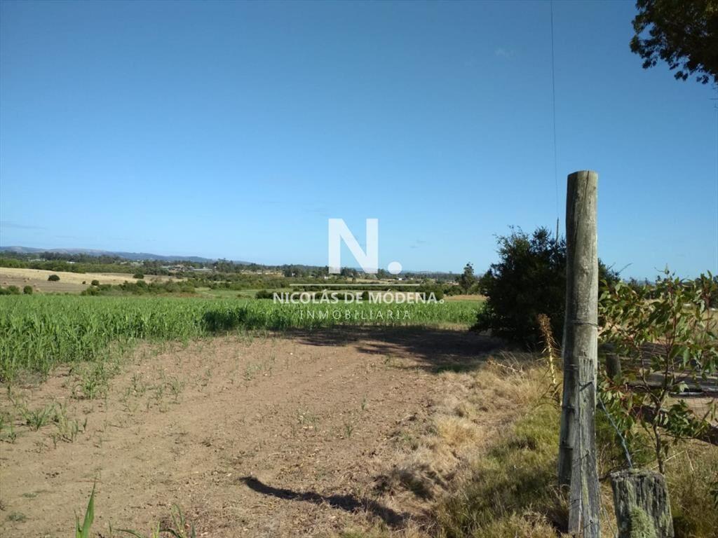 Ruta 104 zona ideal para vivir todo el año