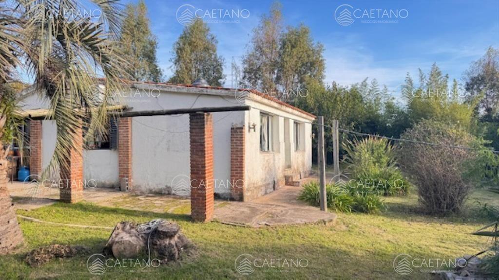 Campo de 4 has 1602 m2 muy cerca de ruta 12 y la