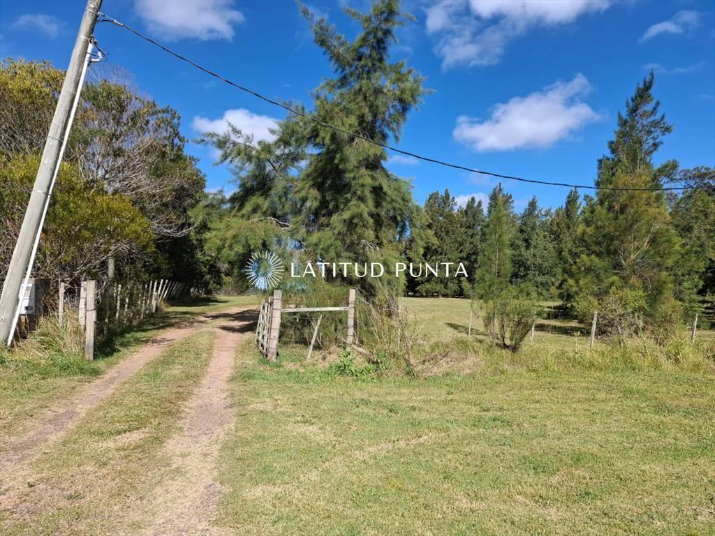 Hermosa chacra a 25 kilómetros de Punta del Este