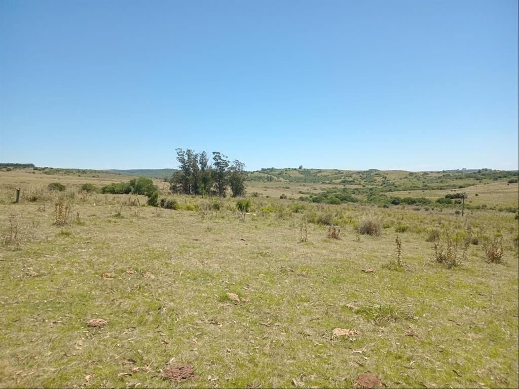 CAMPO EN VENTA - SIERRAS DEL CARAPE - MALDONADO