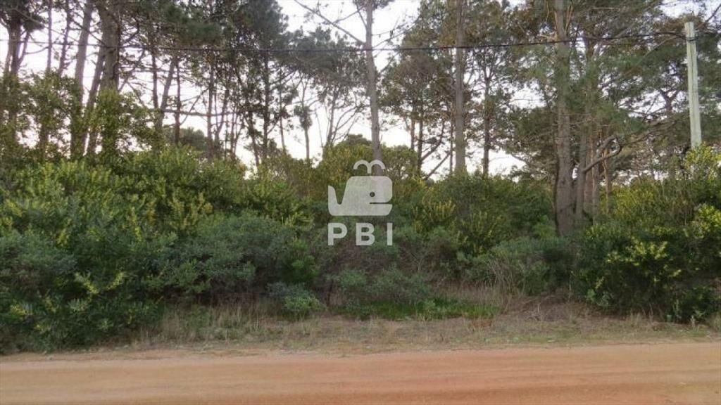 Terreno en venta Chihuahua - Ref : PBI906