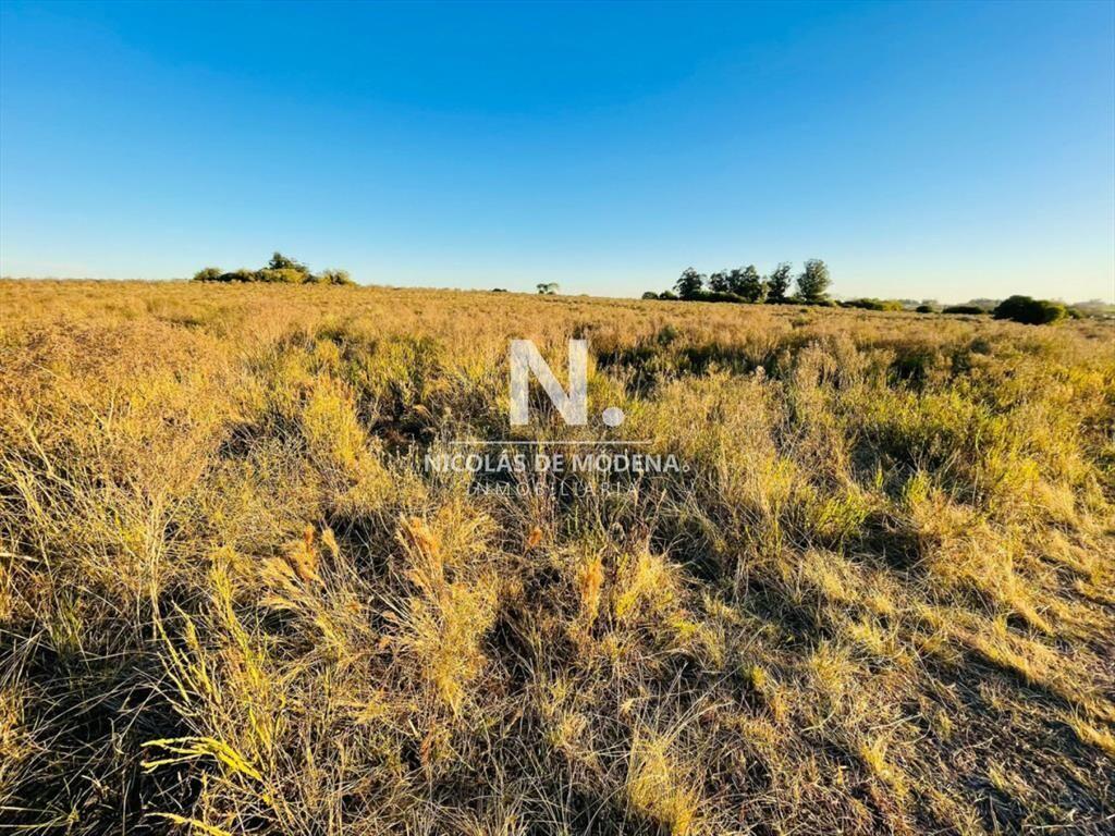 Chacra en venta en canelones. Oportunidad para