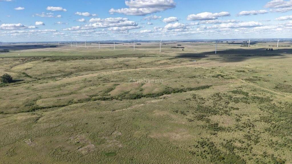 Campo Ganadero en Artigas
